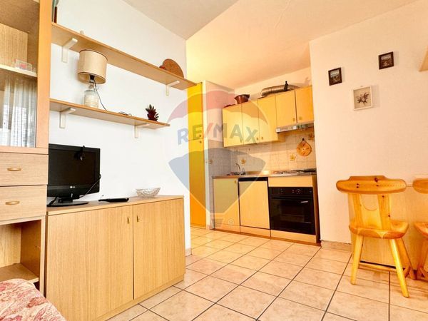 Appartamento Frabosa Sottana, CN Vendita