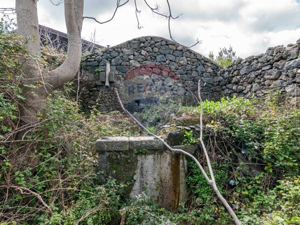 Rustico Piedimonte Etneo, CT Vendita - Foto 3