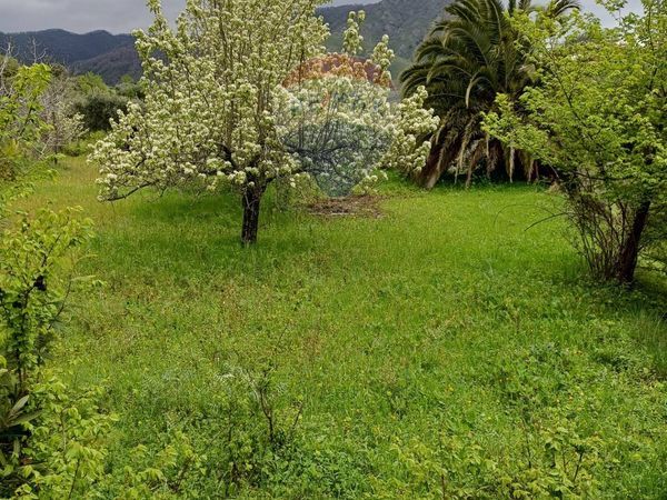 Terreno Roccella Valdemone, ME Vendita - Foto 3