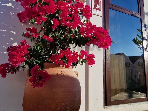 Casa Vacanze Pisticci, MT Vendita