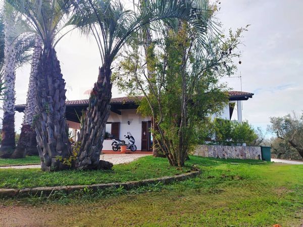 Villa singola Tuglie, LE Vendita - Foto 4