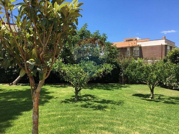 Appartamento Tor San Lorenzo Mare, Ardea, RM Affitto
