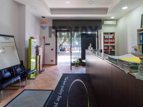 Negozio Borghesiana, Roma, RM Affitto - Foto 4