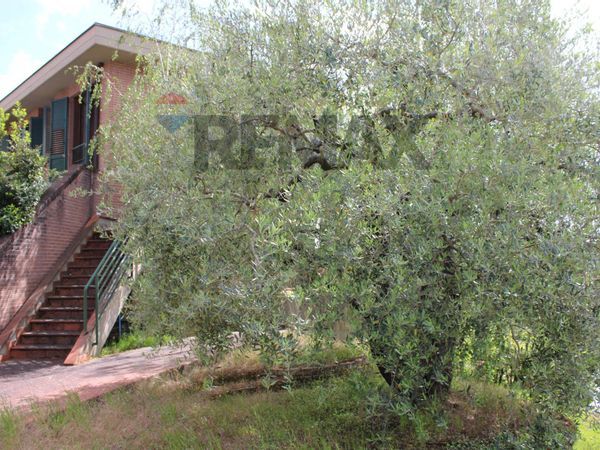 Appartamento Castelfiorentino, FI Vendita - Foto 4