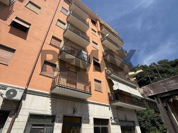 Appartamento Tolfa, RM Vendita