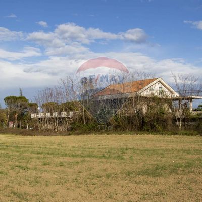 Commerciale Altro Spoltore, PE Vendita - Foto 5