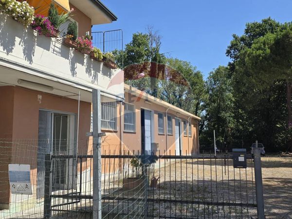 Capannone Industriale Santa Maria Maddalena, Occhiobello, RO Affitto - Foto 4