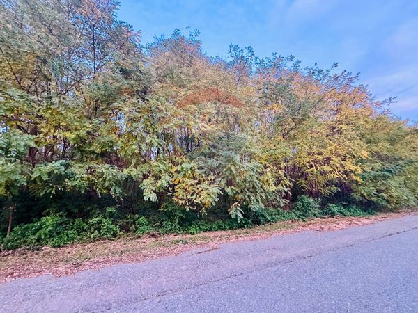 Terreno Edificabile Romagnano Sesia, NO Vendita - Foto 3