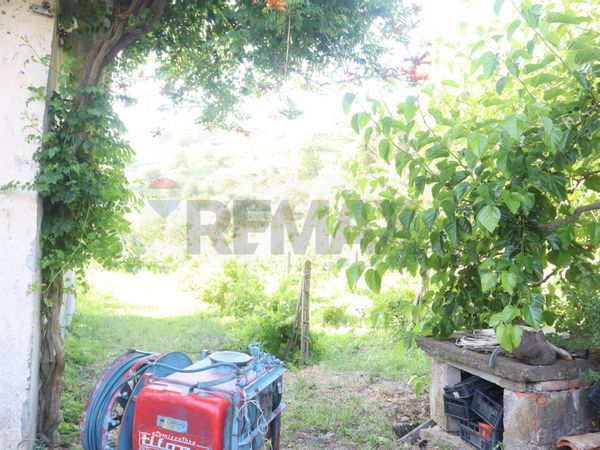 Casa Indipendente Castiglione di Sicilia, CT Vendita - Foto 2