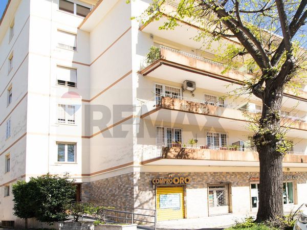 Appartamento Balduina, Roma, RM Affitto - Foto 2