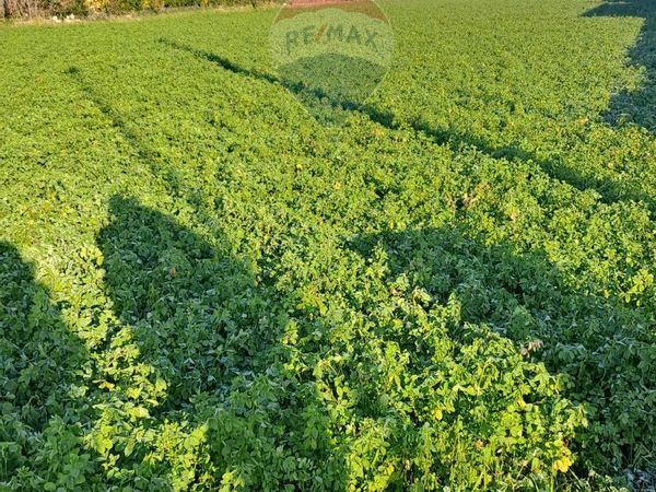 Terreno Edificabile Casalserugo, PD Vendita - Foto 4