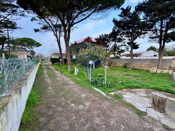 Cascina/Casale Lendinuso, Torchiarolo, BR Vendita - Foto 2