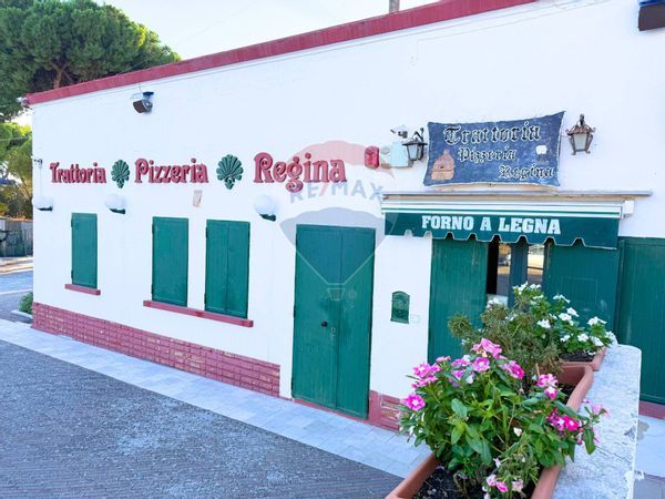 Attività  Commerciale Siponto, Manfredonia, FG Vendita - Foto 2