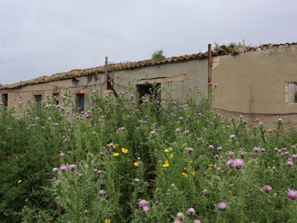 Cascina/Casale Gela, CL Vendita
