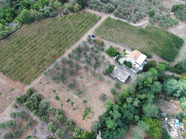 Casa Indipendente Rocca San Giovanni, CH Vendita - Foto 4