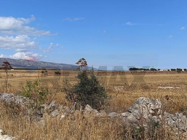 Terreno San Giovanni Rotondo, FG Vendita - Foto 2