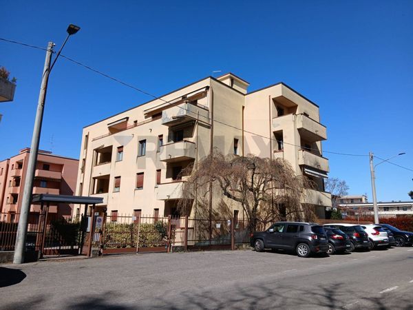 Appartamento Cuoricino, Cardano al Campo, VA Vendita
