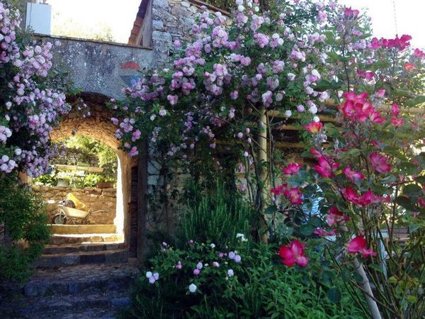 Casa Semindipendente Camaiore, LU Vendita - Foto 4