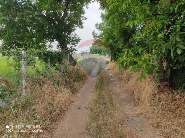 Terreno Afragola, NA Vendita