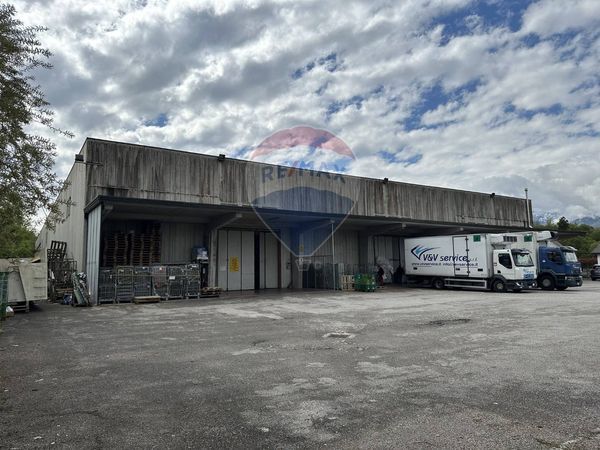 Capannone Industriale Busche, Cesiomaggiore, BL Vendita - Foto 3