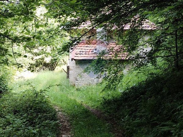 Baita/Chalet/Trullo Campedei, Borgo Valbelluna, BL Vendita - Foto 2