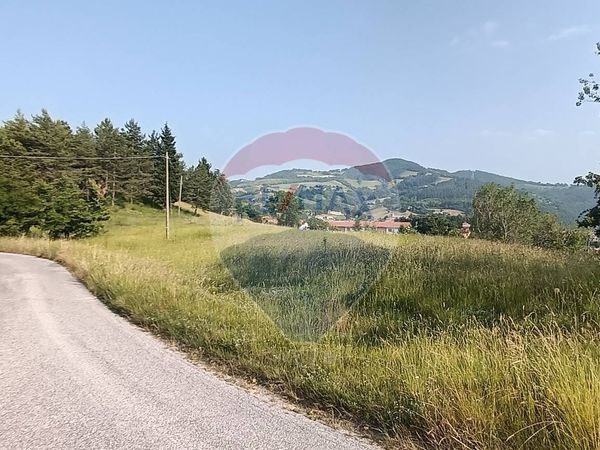 Terreno Edificabile Valfabbrica, PG Vendita - Foto 3