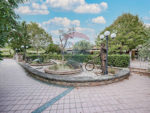 Agriturismo Bertinoro, FC Vendita - Foto 3