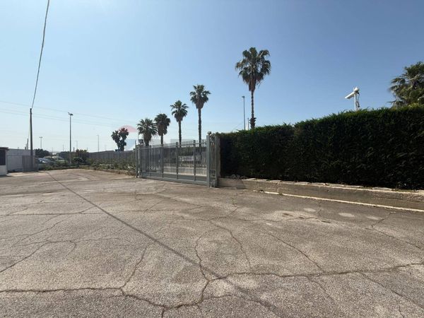 Capannone Industriale Carbonara - Ceglie, Bari, BA Affitto - Foto 3