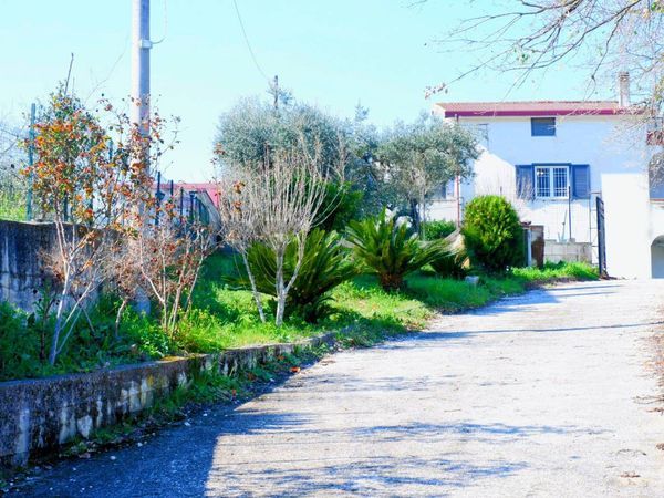 Casa Indipendente Giardoni, Limatola, BN Vendita - Foto 3