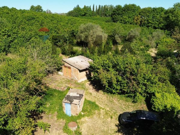 Terreno Vasanello, VT Vendita - Foto 2