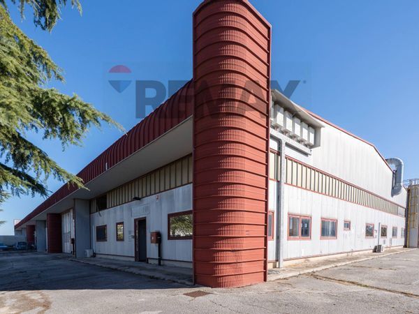 Capannone Industriale Borghetto, Monte San Vito, AN Affitto - Foto 3