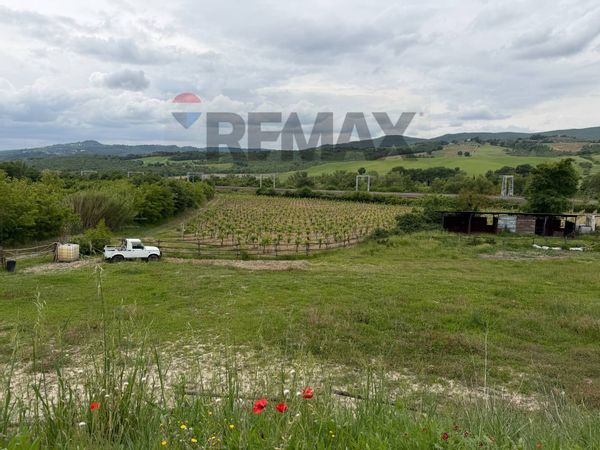Terreno Ficulle, TR Vendita - Foto 4