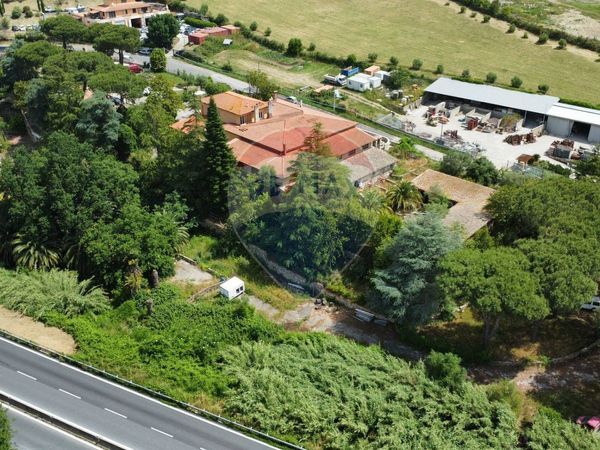 Attività  Commerciale Campagnano di Roma, RM Vendita