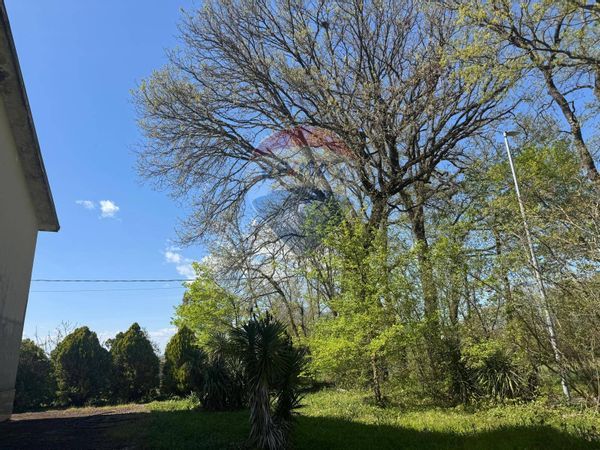 Casa Indipendente Sant'Angelo in Theodice, Cassino, FR Vendita - Foto 4