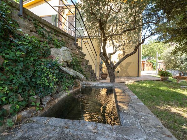 Villa singola Serra San Quirico, AN Vendita - Foto 4