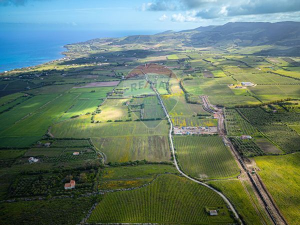 Terreno Sorso, SS Vendita