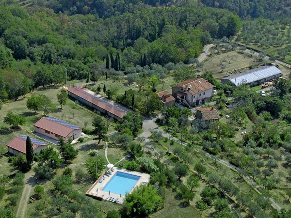 Agriturismo Pulicciano, Castelfranco Piandiscò, AR Vendita - Foto 2