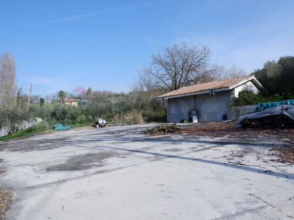 Terreno Ruviano, CE Vendita - Foto 3