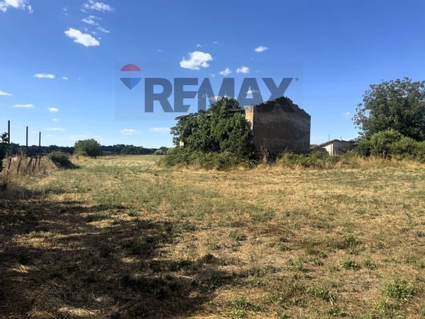 Villa singola Mazzano Romano, RM Vendita