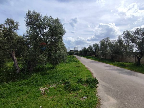 Capannone Industriale Bisceglie, BT Vendita - Foto 4