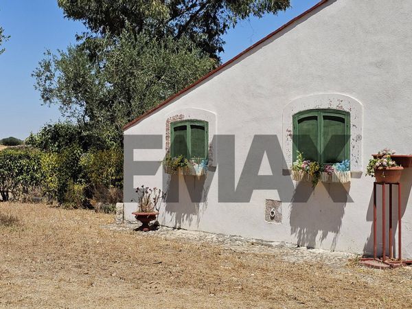 Villa singola Lucera, FG Vendita - Foto 3