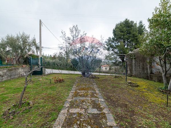 Cascina/Casale Belpasso, CT Vendita - Foto 3