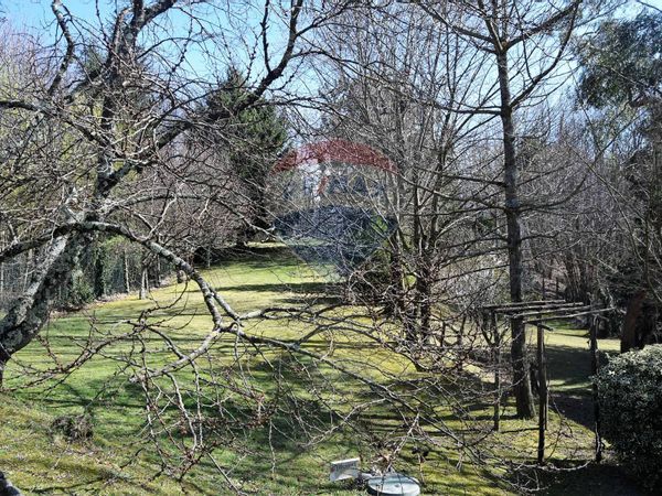 Casa Indipendente Montaltissimo, Molazzana, LU Vendita - Foto 3