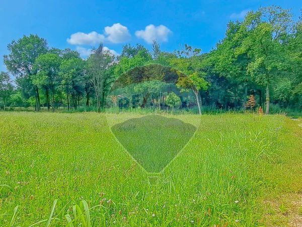 Terreno Edificabile San Quirico, Muscoline, BS Vendita