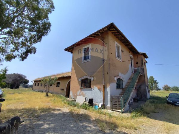 Cascina/Casale S. Palomba, Pomezia, RM Vendita