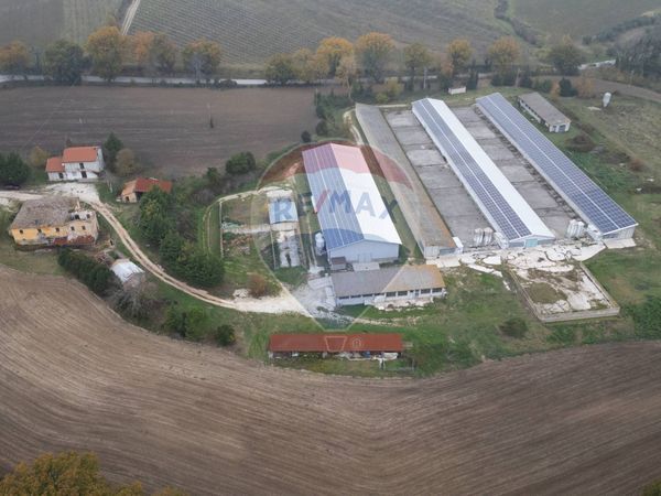 Capannone Industriale Arcevia, AN Vendita