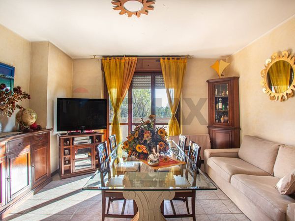 Appartamento Segrate, MI Vendita - Foto 3