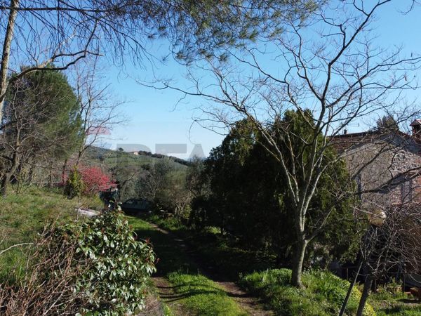 Casa Semindipendente Vitolini, Vinci, FI Vendita - Foto 4