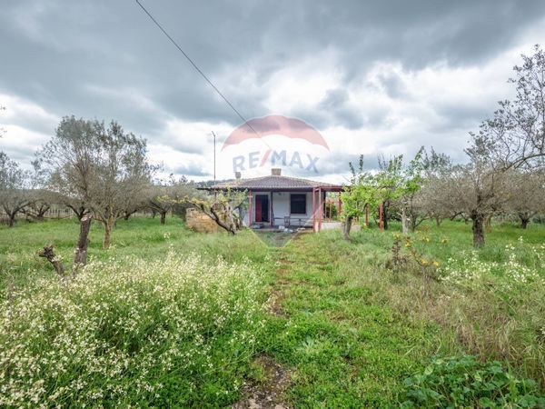 Casa Indipendente Mazzarino, CL Vendita - Foto 2