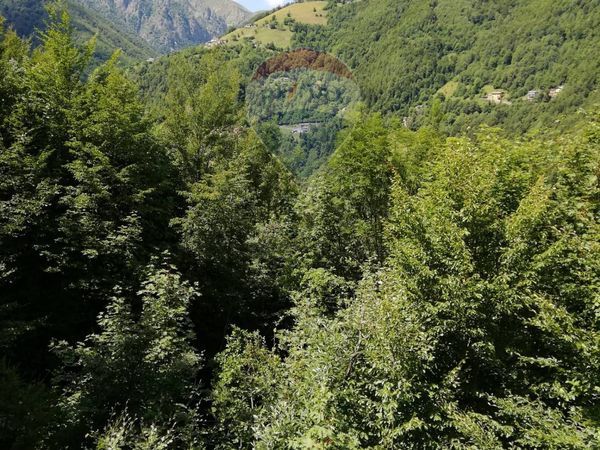 Appartamento Valtorta, BG Vendita - Foto 3